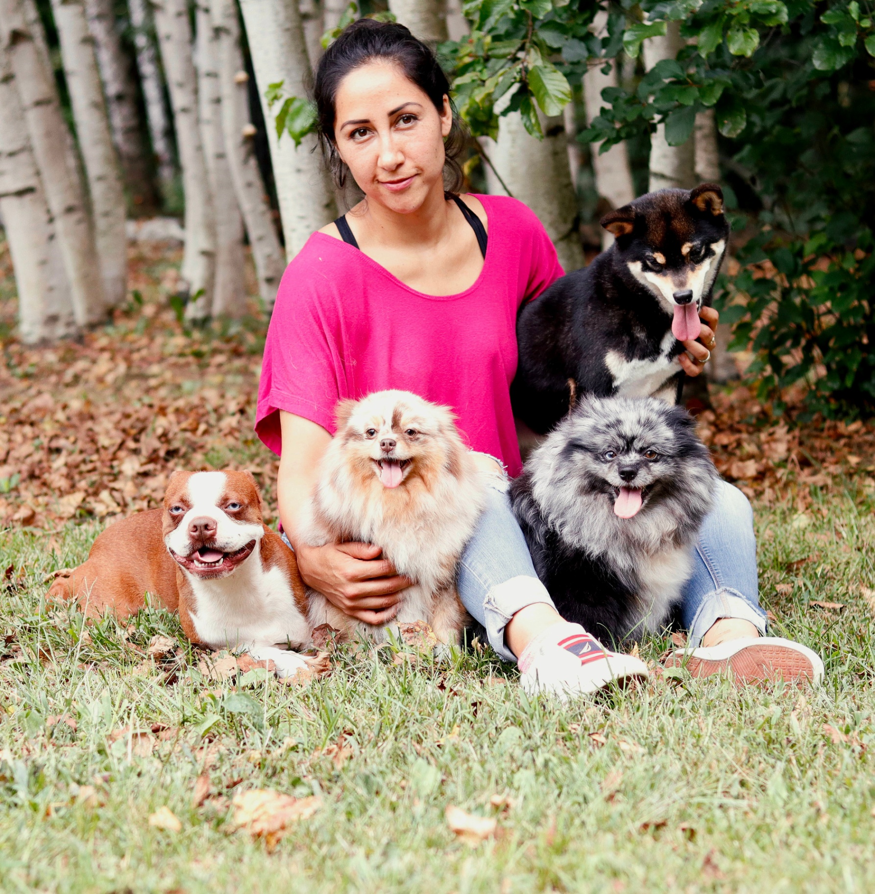 4 Ever Pups owner with her Shiba Inu, Pomeranians and Boston Terrier